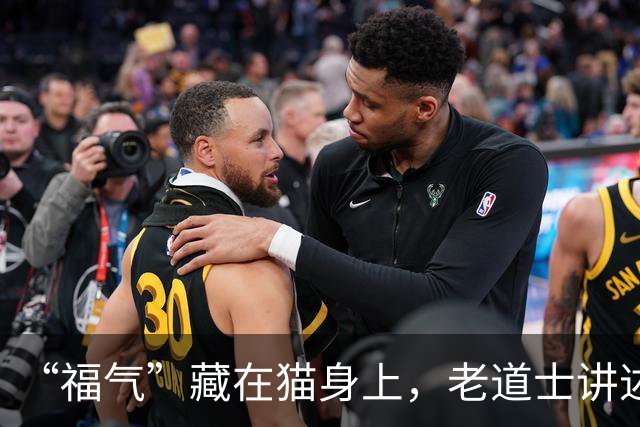 “福气”藏在猫身上，老道士讲述：它爱呆的地方，是守护你家财路