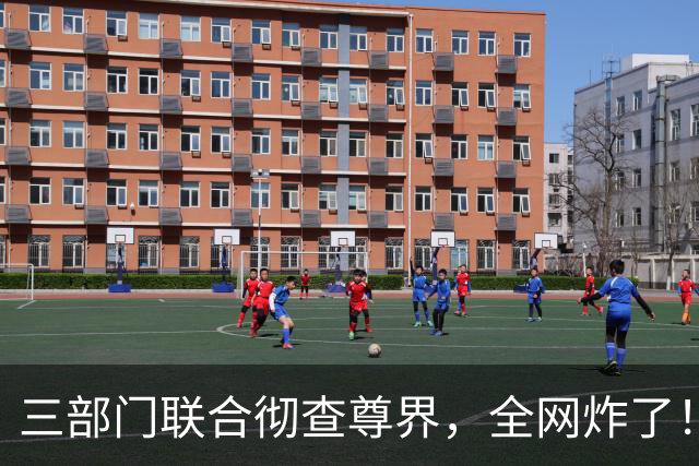 三部门联合彻查尊界，全网炸了！