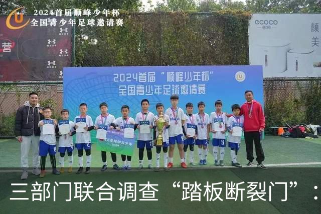 三部门联合调查“踏板断裂门”：查的不只是一辆车