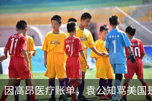 因高昂医疗账单，袁公知骂美国是垃圾国家，喊着要“回国自首”