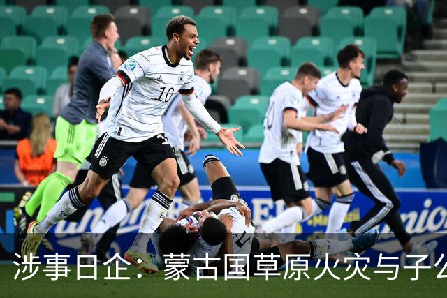 涉事日企：蒙古国草原火灾与子公司高管活动有关