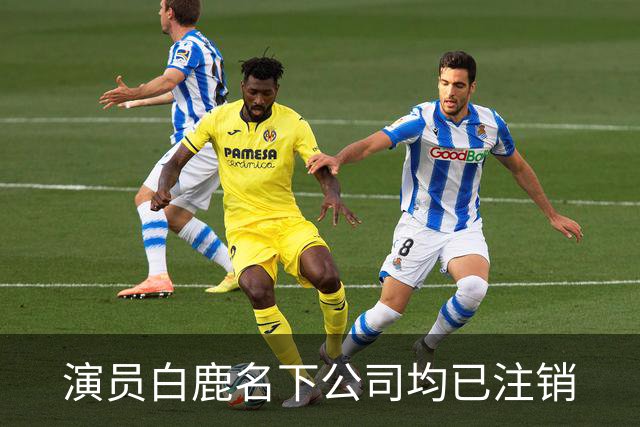 演员白鹿名下公司均已注销