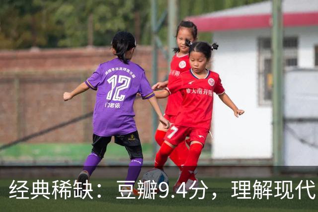 经典稀缺：豆瓣9.4分，理解现代中国社会的神作！