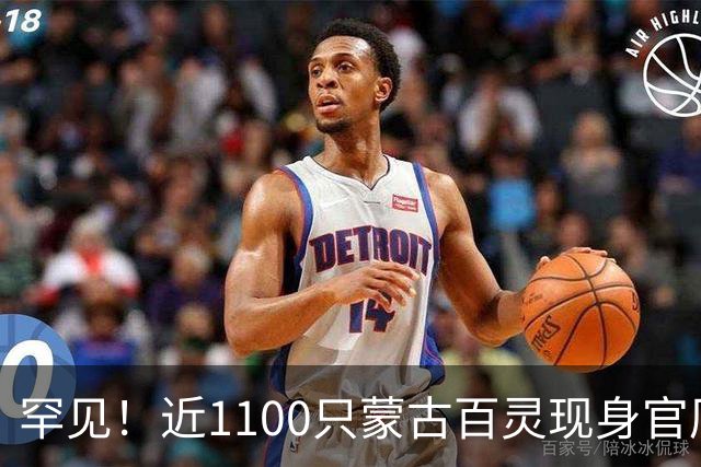 罕见！近1100只蒙古百灵现身官厅水库