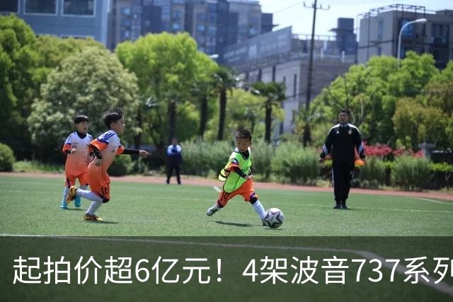 起拍价超6亿元！4架波音737系列民航客机无人报名流拍，共吸引12万余人次围观