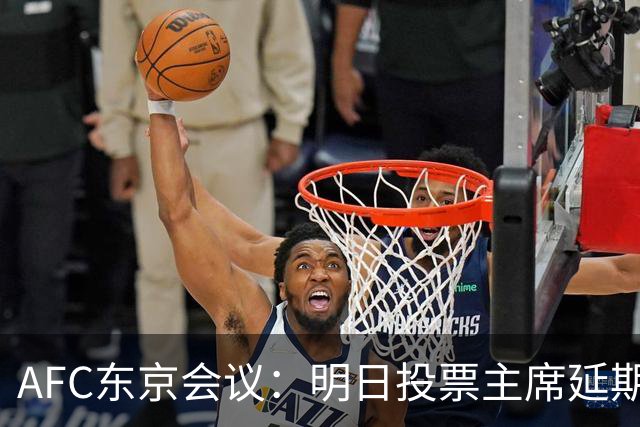 AFC东京会议：明日投票主席延期 11.18定夺亚洲杯